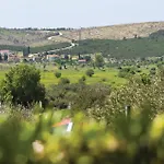 One-bedroom In Danilo *