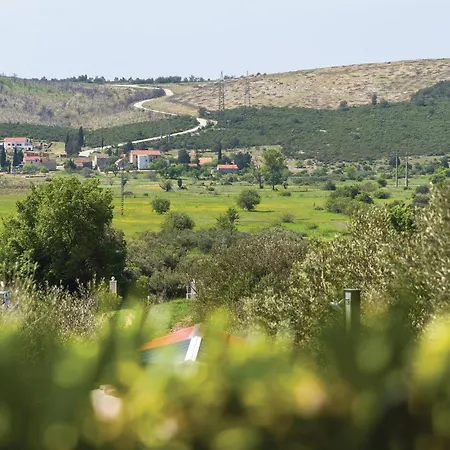 One-bedroom In Danilo *
