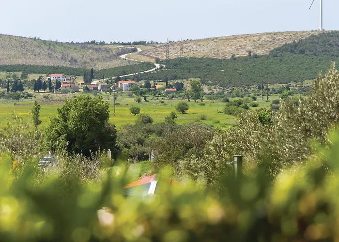 One-bedroom In Danilo *